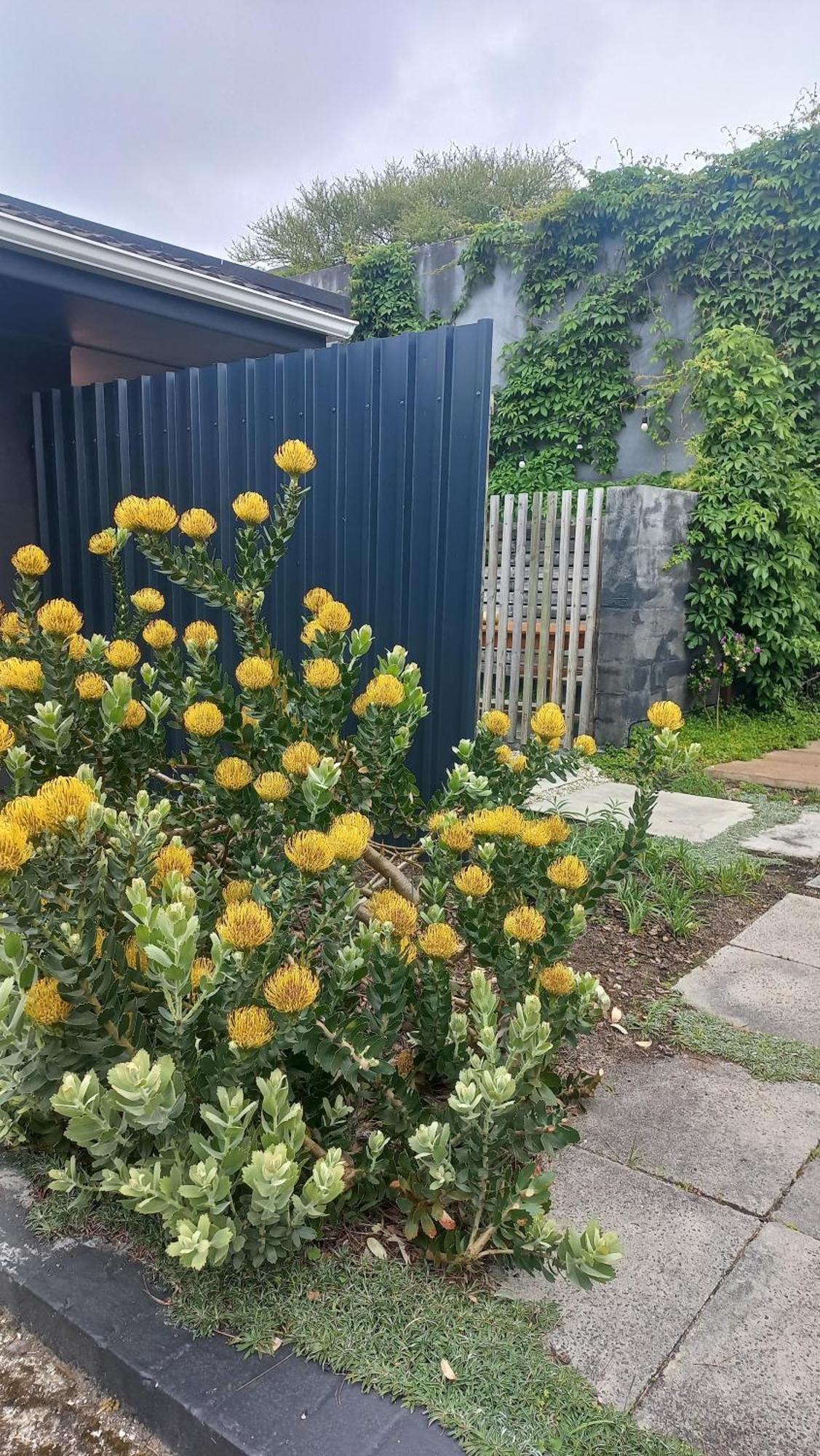 Yellow Door